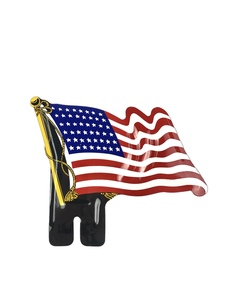 License Plate Topper- 48 Star Flag Photo Main